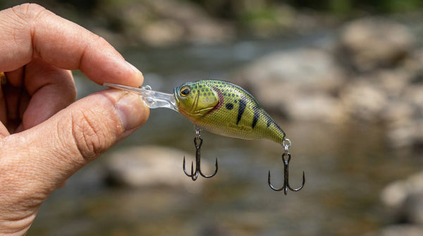 Skinny Bear Jr. Deep Crank