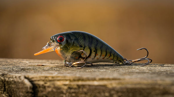 Skinny Bear Squarebill Crank 2.38