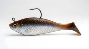 Shad Eye - Sun Fish