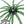 Shake'Em Up 19mm - WatermelonZ (2pk)